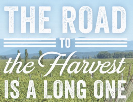 The Road to the Harvest Contest