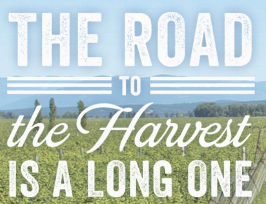 The Road to the Harvest Contest