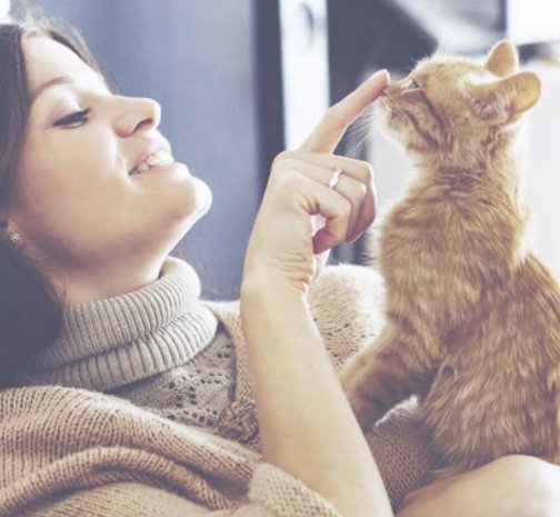 The Scoopless Summer Sweepstakes 2018