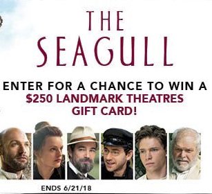 The Seagull Sweepstakes