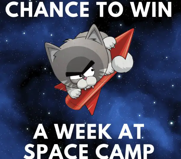 The Space Cat-astrophe Space Camp