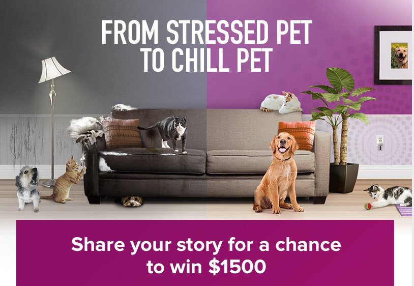 The Stressed Pet to Chill Pet Contest