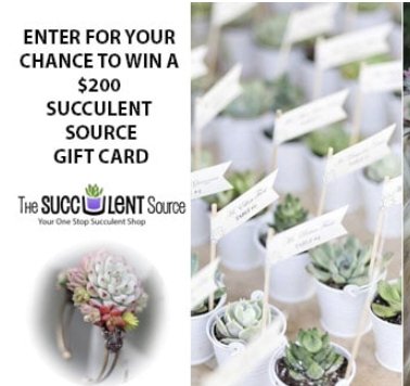 The Succulent Source Giveaway