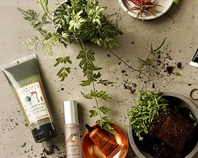 The Ultimate Gardeners Hand Cure Ritual Sweepstakes