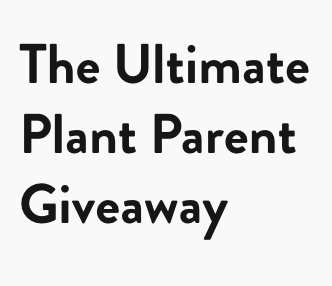 The Ultimate Plant Parent Giveaway