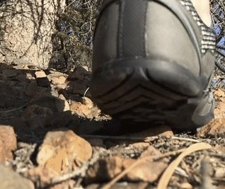 The Xero Shoes TerraFlex Trail Shoe Sweepstakes