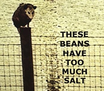 These Beans Have Too Much Salt Giveaway