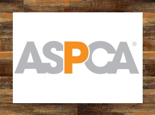 Titos Holiday Give Back Text to Enter Program