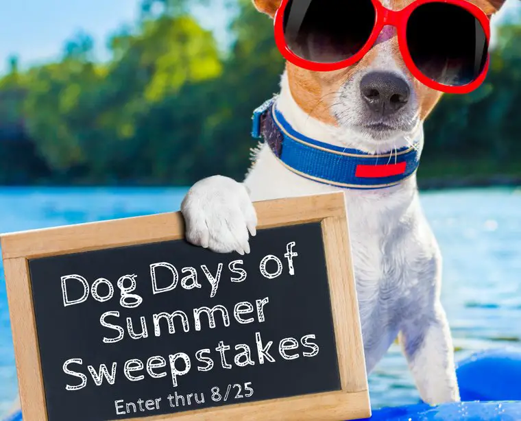 Tomlyn Dog Days Of Summer