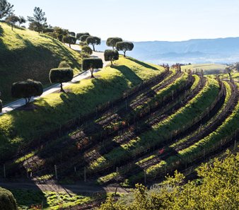 Tour de France Prize Package Giveaway