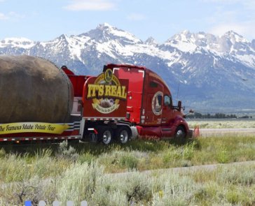 Traveling Potato Giveaway