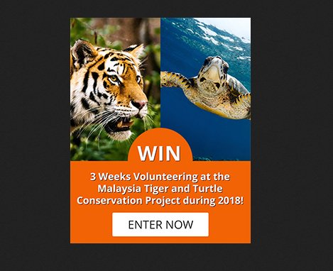 Trip Of A Lifetime Giveaway