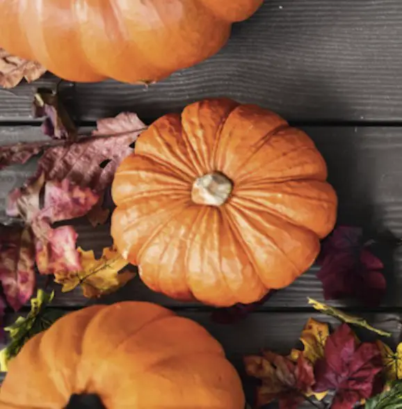 Trip or Treat Halloween Sweepstakes