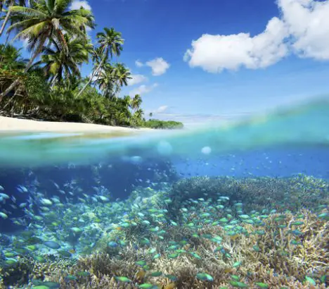 Trip To Curacao Giveaway