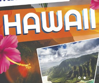 Trip to Hawaii Sweepstakes