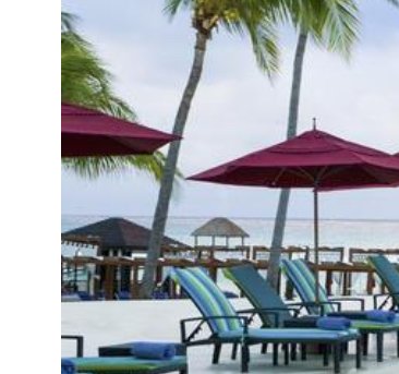 Trip to Paradise Sweepstakes