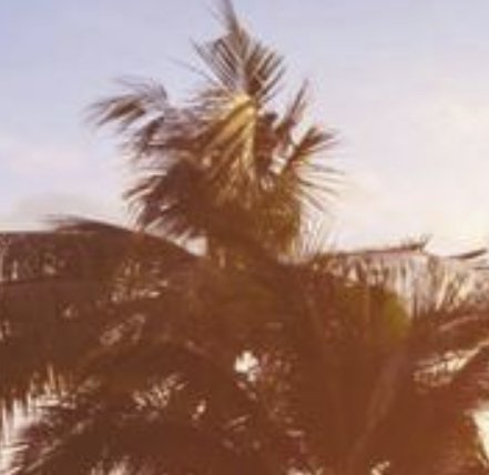 Tropical Escape Giveaway