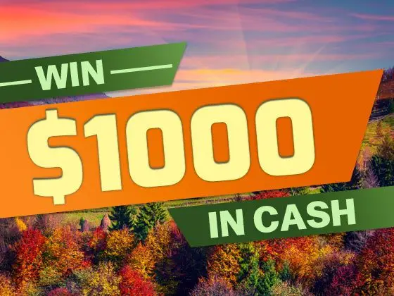 Twist Magazine Win $1000 in Free Cash