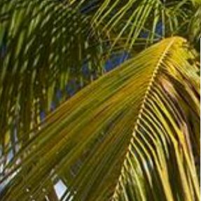 Ultimate Caribbean Adventure Holiday