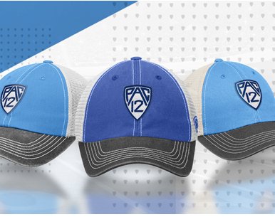 Ultimate Fan Experience Sweepstakes