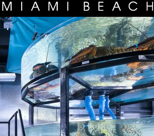 Ultimate Foodie Getaway Giveaway