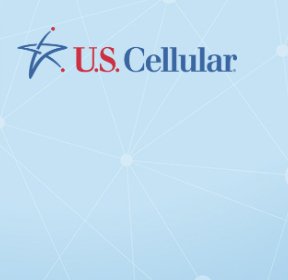 US Cellular 250 VIP Experience Sweepstakes