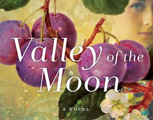 Valley of the Moon Giveaway