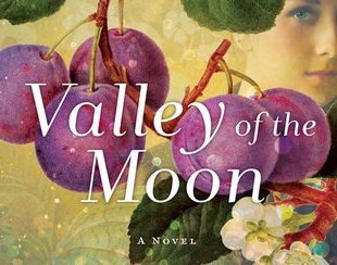 Valley of the Moon Giveaway