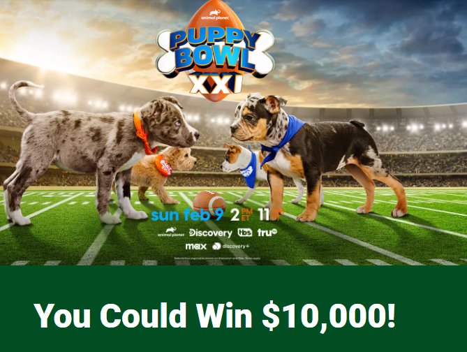 Valpak Puppy Bowl Sweepstakes - Win $10,000 Cash