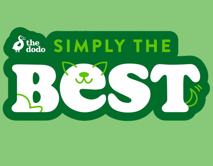 The Dodo AirWick Simply The Best Sweepstakes - Win $4,000 Cash, The Dodo Plush Toy & AirWick Products