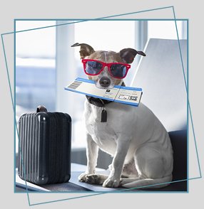 Wahl Animal Event Getaway