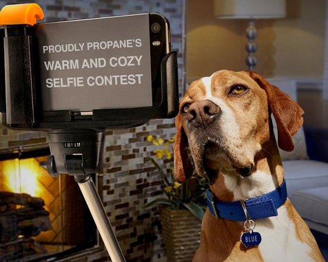 Warm & Cozy Selfie Sweepstakes