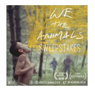 We the Animals Sweepstakes