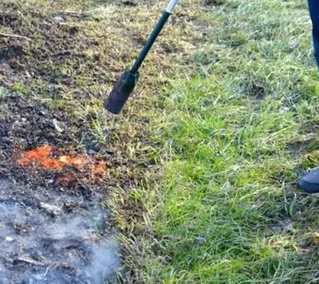 Weed Dragon Flame Tool Giveaway!