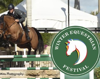 WEF VIP Sweepstakes