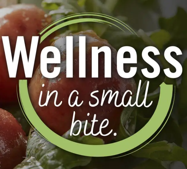 Wellness In a Small Bite