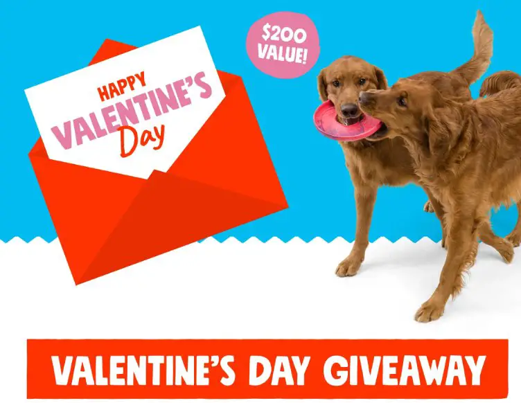 West Paw Valentine’s Day Giveaway - Win A $200 Prize Pack For Your Dog