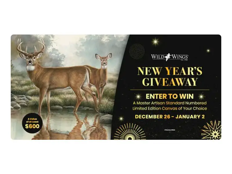 Wild Wings New Year's Giveaway - Win A Limited Edition Canvas