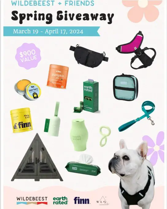 Wildebeest + Friends Spring Giveaway – Enter For A Shot At A $900 Spring Prize Pack!