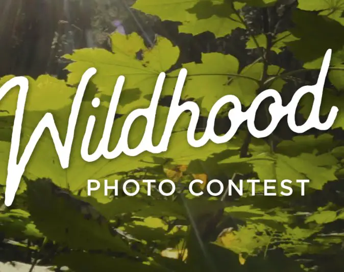 Wildhood Photo Contest