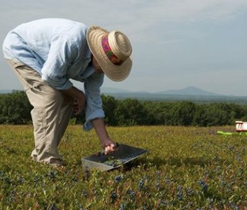 Wildly Fun Caption This Summer Sweepstakes