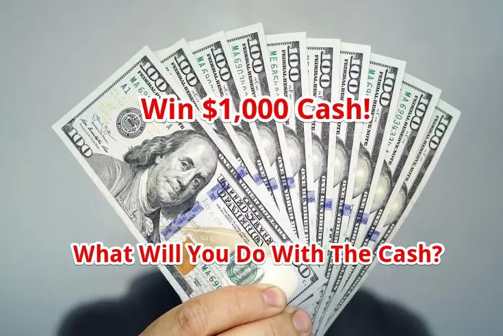 Win $1,000 Cash In The DealNews Black Friday Sweepstakes