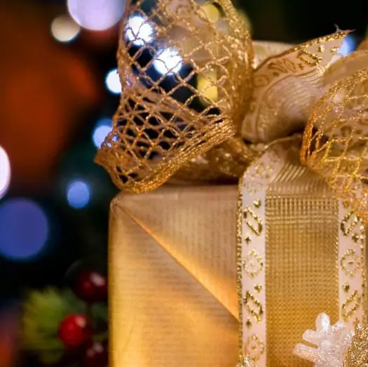 Win 1 of 25 Holiday Gifts