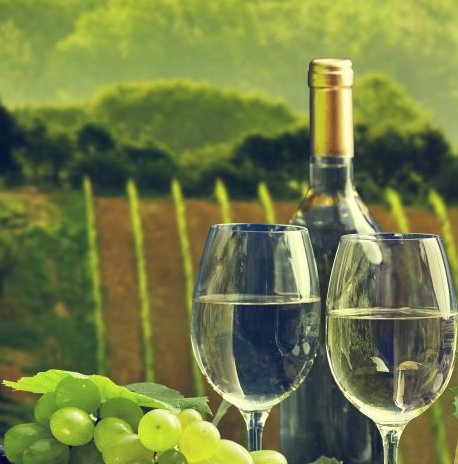 Win a $1500 Two-Night Stay in Virginia's Wine Country!