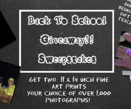 Win 2 11 x 14 Fine Art Photographs