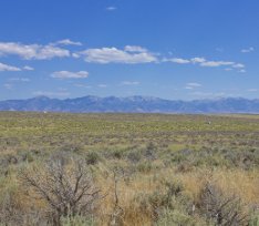 Win 2-Acres of Nevada Land for Thanksgiving