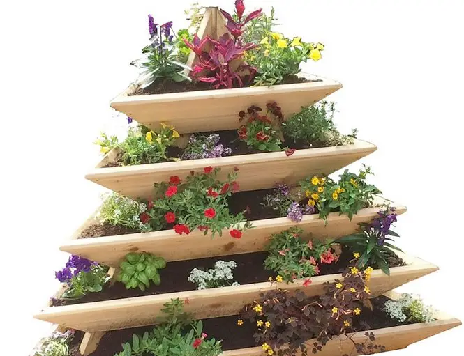 Win a $200 5-Tier Cedar Plant Pyramid