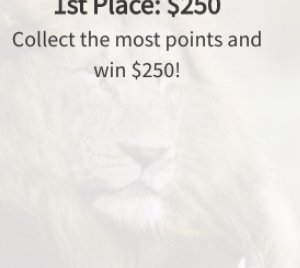 Win $250 by Promoting the #BigFiveSeries