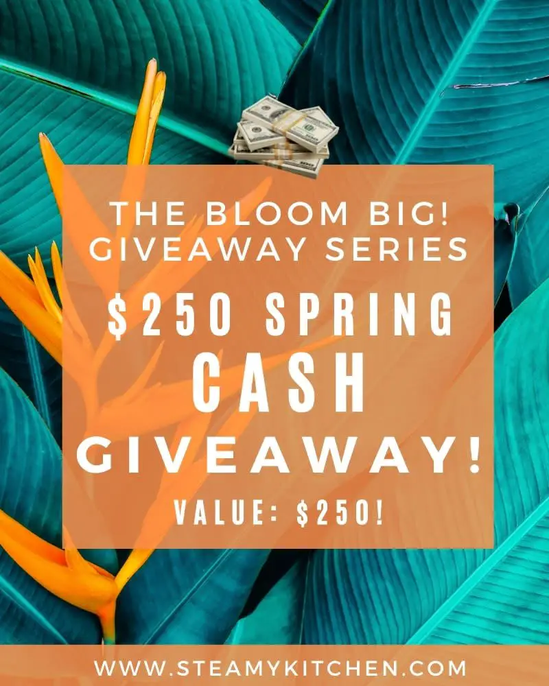 Win $250 Cash In The Steamy Kitchen's Bloom Big $250 Giveaway