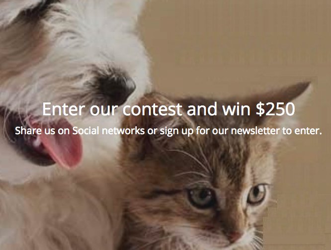 Win a $250 Pet Store Gift Card